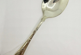 Серебряная ложка