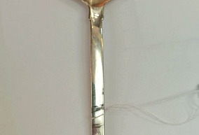 Серебряная ложка