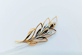 Золотая брошь