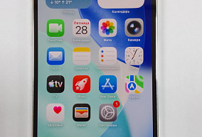 Apple iPhone 12 Pro Max  256 ГБ 