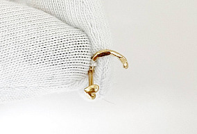 Золотой пирсинг 